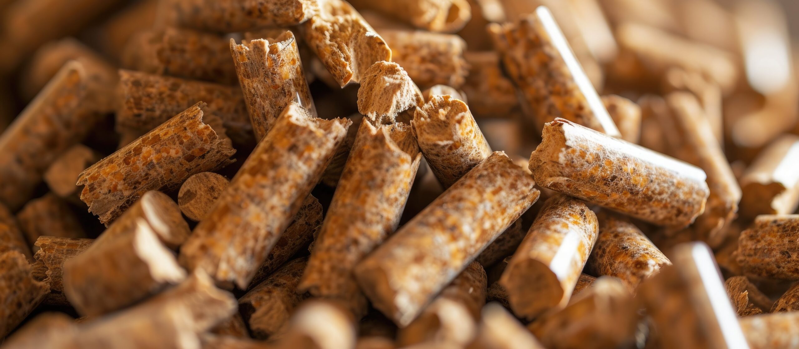 wood pellets closeup image min scaled
