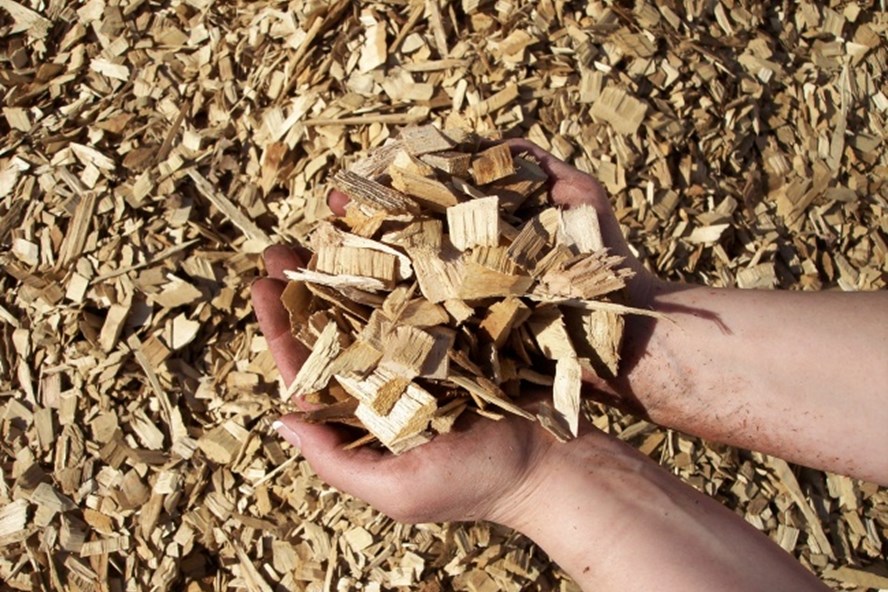 Wood Chips for Paper Making: An Important Raw Material for the Paper Industry
